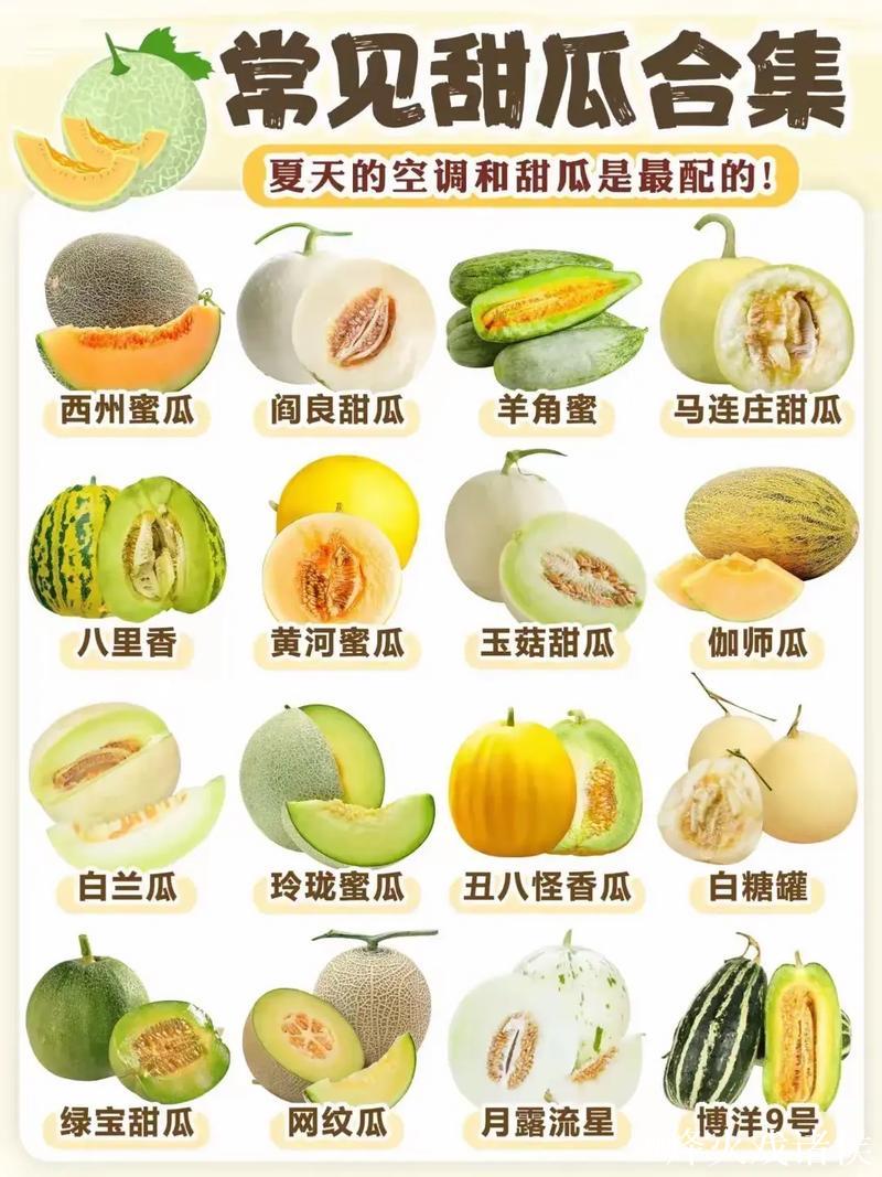 51热门吃瓜大事件盘点 51热门吃瓜大事件盘点